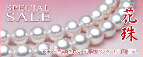 �ּ���俿��ͥå��쥹���ԥ���(���ϥ�����)���å�