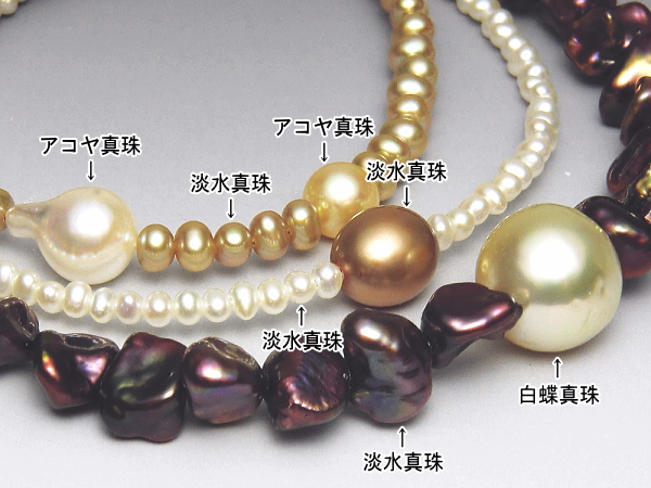 アコヤ真珠 白蝶真珠 淡水真珠ブレスレット Pearl Fusion パールフュージョン シリーズ 真珠専門エイチパールドットコム