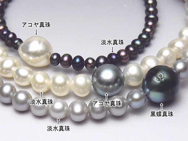 アコヤ真珠＆黒蝶真珠＆淡水真珠ブレスレット