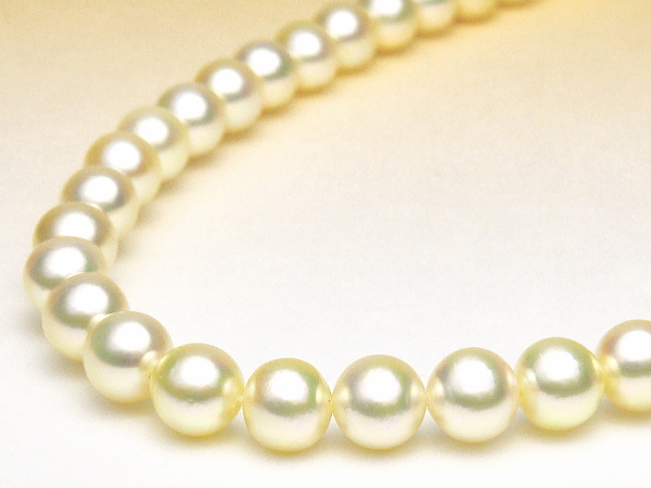 K18アコヤ真珠ネックレス（シャンパンゴールドカラー／6.0～5.5ミリ／WG・YGより選択可）