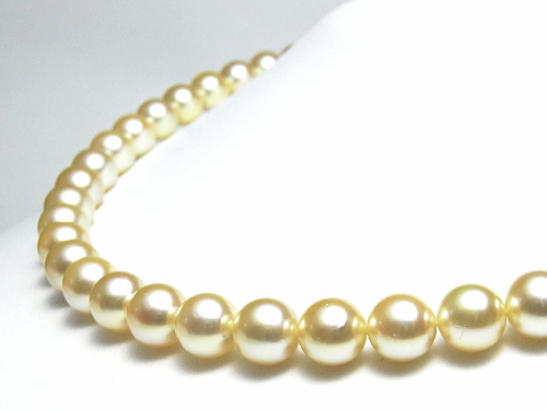 高品質＆ナチュラルゴールドカラーのアコヤ真珠ネックレス（8.5～8.0mm）