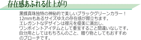 黒蝶真珠ブローチ　説明