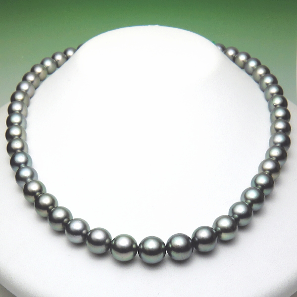 黒蝶真珠ネックレス（10.5～8.5ミリ／ライトグリーンカラー） ：真珠