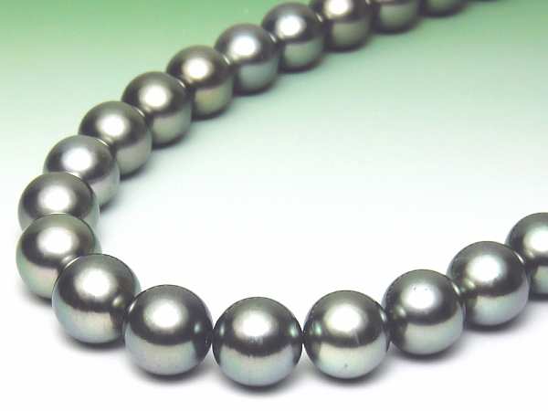黒蝶真珠ネックレス（10.5～8.5ミリ／ライトグリーンカラー） ：真珠
