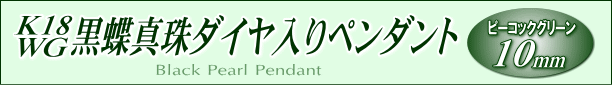 K18WG黒蝶真珠ダイヤ入りペンダント タイトル