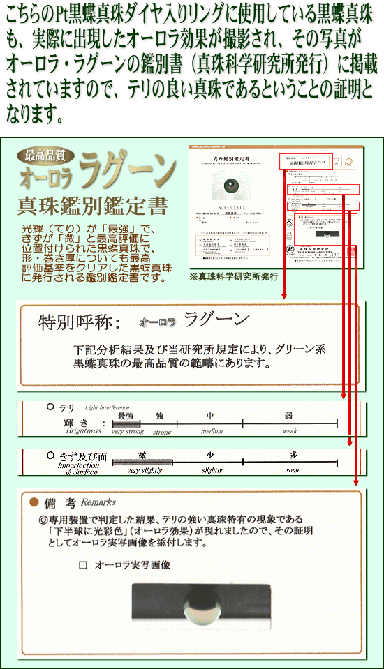 黒蝶真珠最高品質「オーロラ・ラグーン」鑑別鑑定書付き